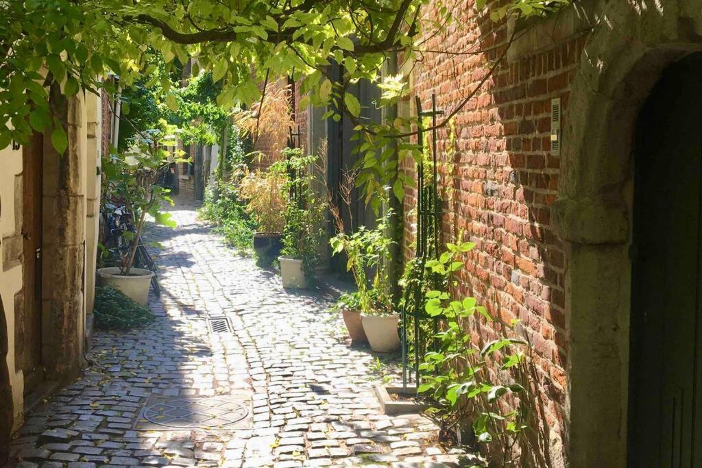 En Plein Coeur De Bruxelles. Superbe Duplex.A Voir! Luaran gambar