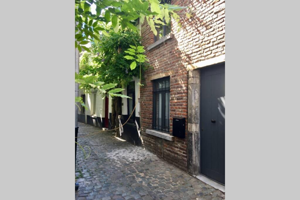En Plein Coeur De Bruxelles. Superbe Duplex.A Voir! Luaran gambar
